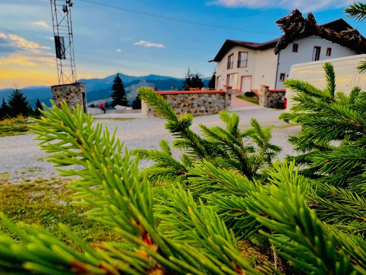 Pensiunea Mândruleanu Borşa Exterior foto